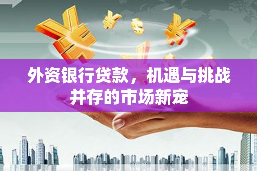 昌图外资银行贷款，机遇与挑战并存的市场新宠