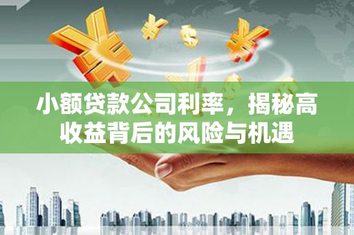 昌图小额贷款公司利率，揭秘高收益背后的风险与机遇