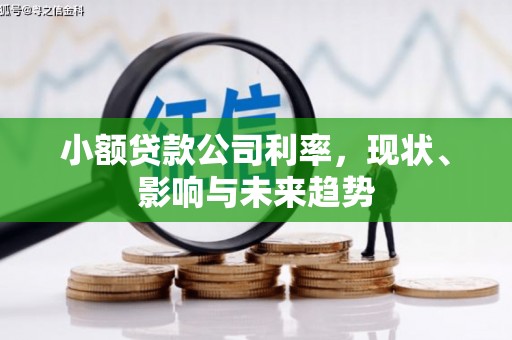 昌图小额贷款公司利率，现状、影响与未来趋势