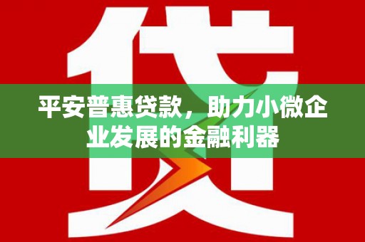 昌图平安普惠贷款，助力小微企业发展的金融利器