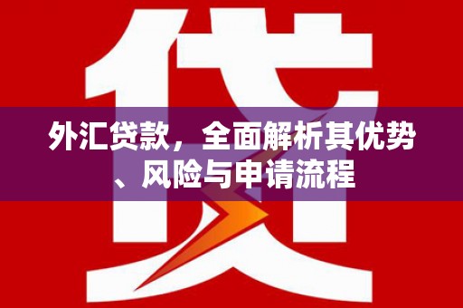 昌图外汇贷款，全面解析其优势、风险与申请流程