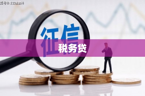 昌图税务贷
