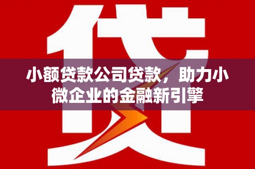 昌图小额贷款公司贷款，助力小微企业的金融新引擎