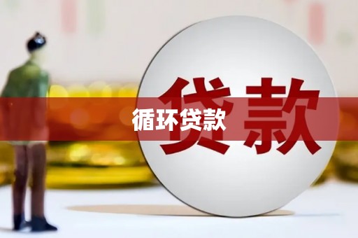 昌图循环贷款