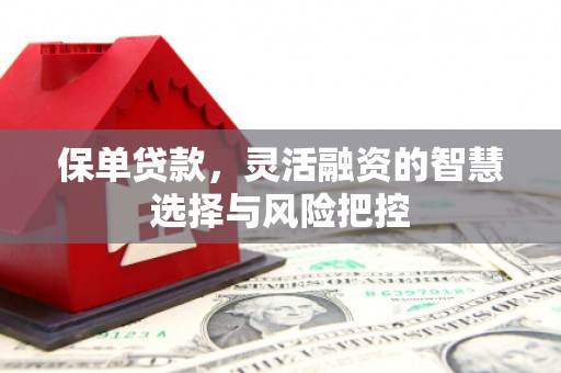 昌图保单贷款，灵活融资的智慧选择与风险把控
