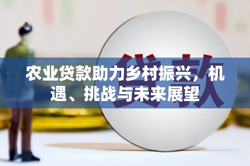 昌图农业贷款助力乡村振兴，机遇、挑战与未来展望