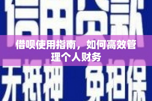 昌图借呗使用指南，如何高效管理个人财务