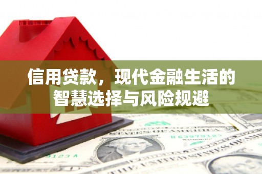 昌图信用贷款，现代金融生活的智慧选择与风险规避