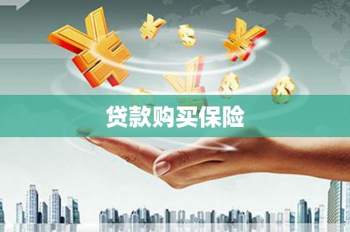 昌图贷款购买保险