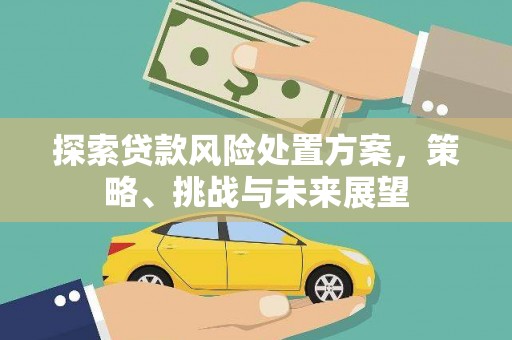 昌图探索贷款风险处置方案，策略、挑战与未来展望