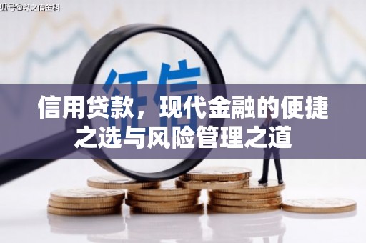 昌图信用贷款，现代金融的便捷之选与风险管理之道