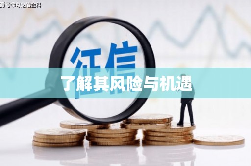昌图了解其风险与机遇