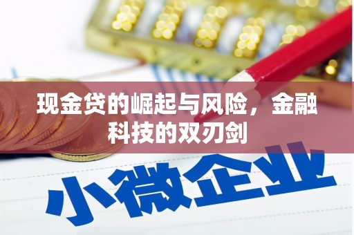 昌图现金贷的崛起与风险，金融科技的双刃剑