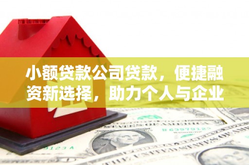 昌图小额贷款公司贷款，便捷融资新选择，助力个人与企业成长