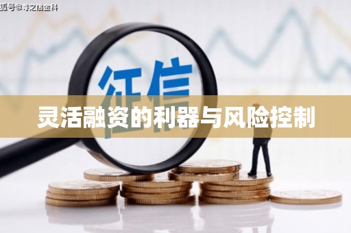 昌图灵活融资的利器与风险控制