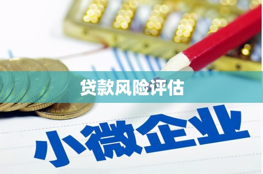 昌图贷款风险评估