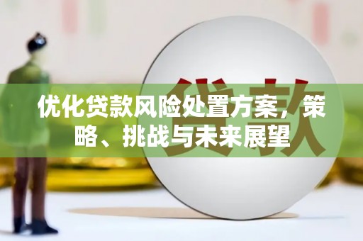 昌图优化贷款风险处置方案，策略、挑战与未来展望