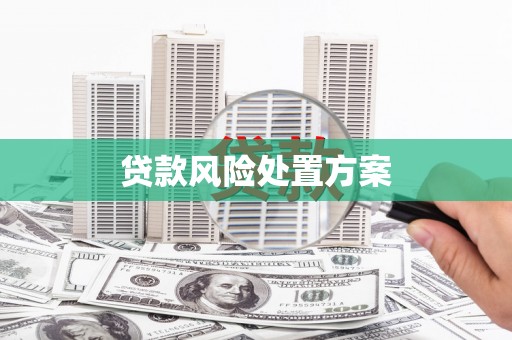 昌图贷款风险处置方案