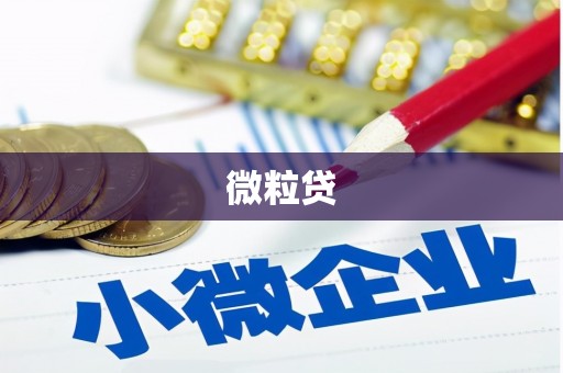 昌图微粒贷