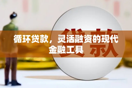 昌图循环贷款，灵活融资的现代金融工具