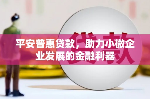 昌图平安普惠贷款，助力小微企业发展的金融利器