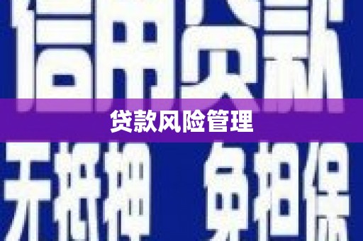 昌图贷款风险管理