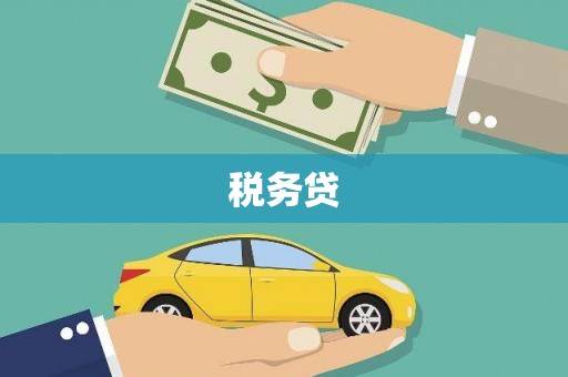 昌图税务贷