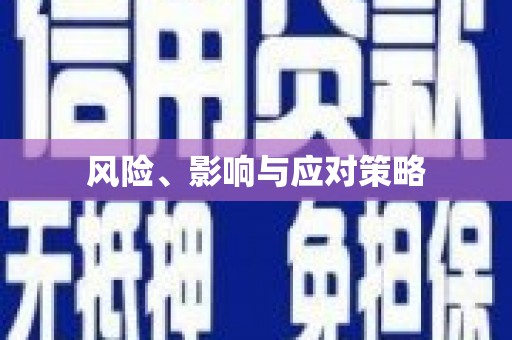 昌图风险、影响与应对策略