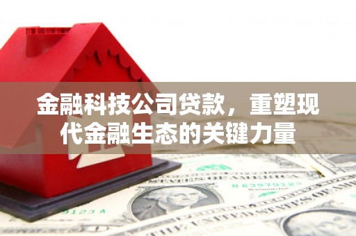 昌图金融科技公司贷款，重塑现代金融生态的关键力量