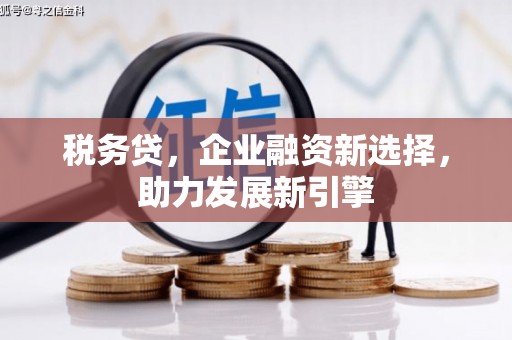 昌图税务贷，企业融资新选择，助力发展新引擎