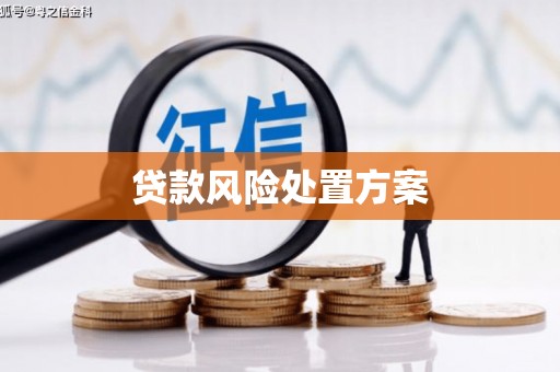 昌图贷款风险处置方案