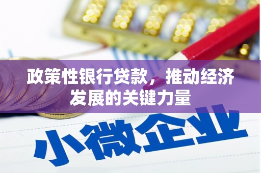 昌图政策性银行贷款，推动经济发展的关键力量