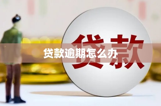 昌图贷款逾期怎么办