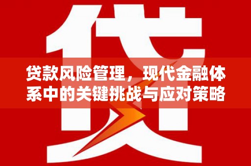 昌图贷款风险管理，现代金融体系中的关键挑战与应对策略