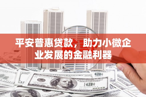 昌图平安普惠贷款，助力小微企业发展的金融利器