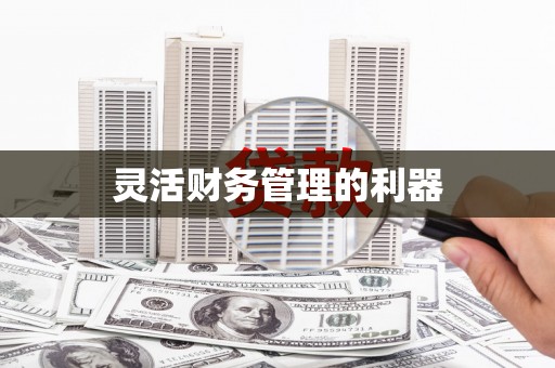 昌图灵活财务管理的利器