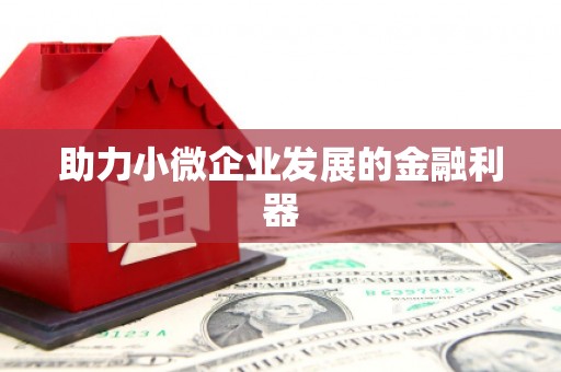 昌图助力小微企业发展的金融利器