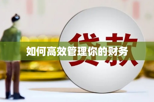 昌图如何高效管理你的财务