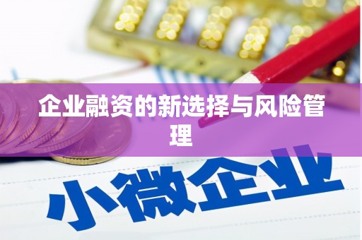 昌图企业融资的新选择与风险管理