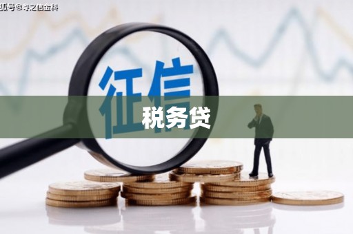 昌图税务贷