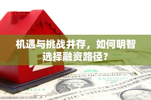 昌图机遇与挑战并存，如何明智选择融资路径？