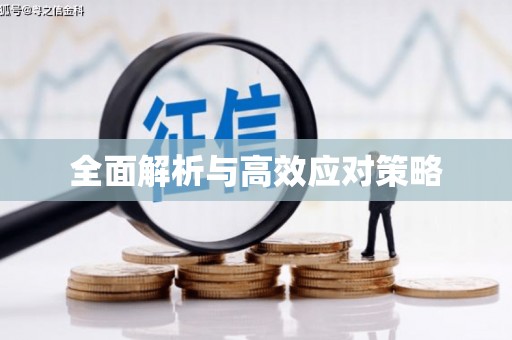 昌图全面解析与高效应对策略